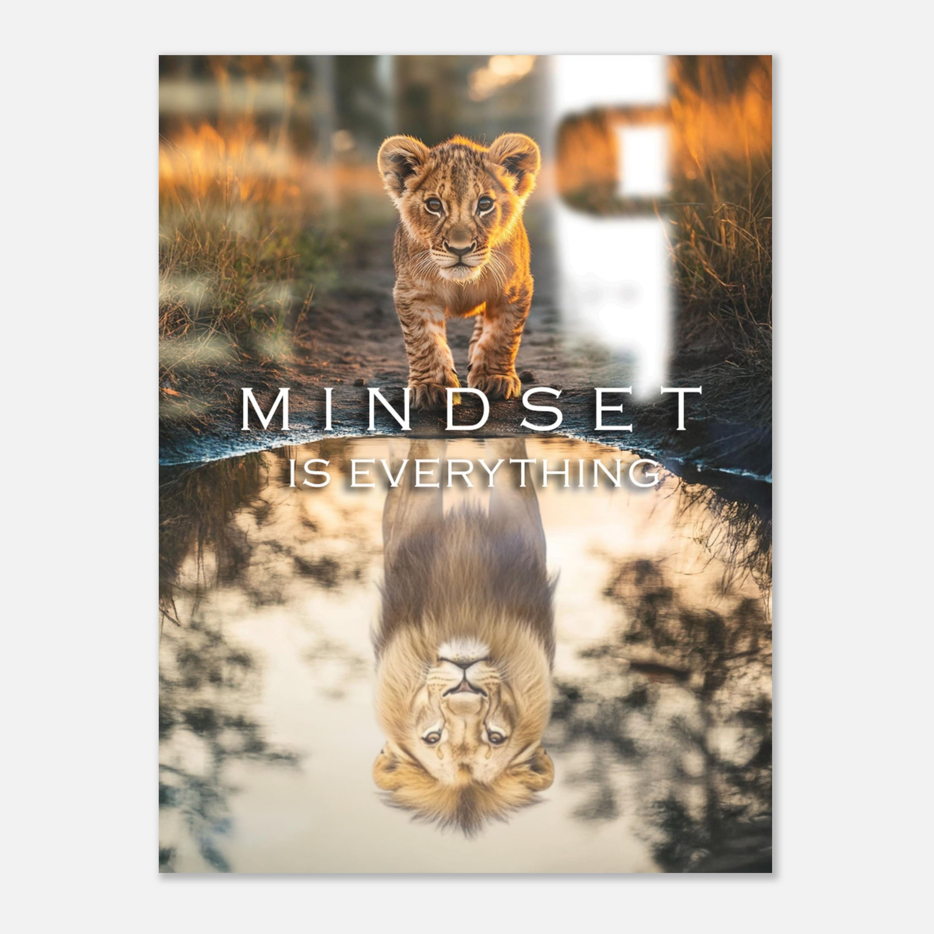 Mysticplate - Mindset is Everything - MysticPlates