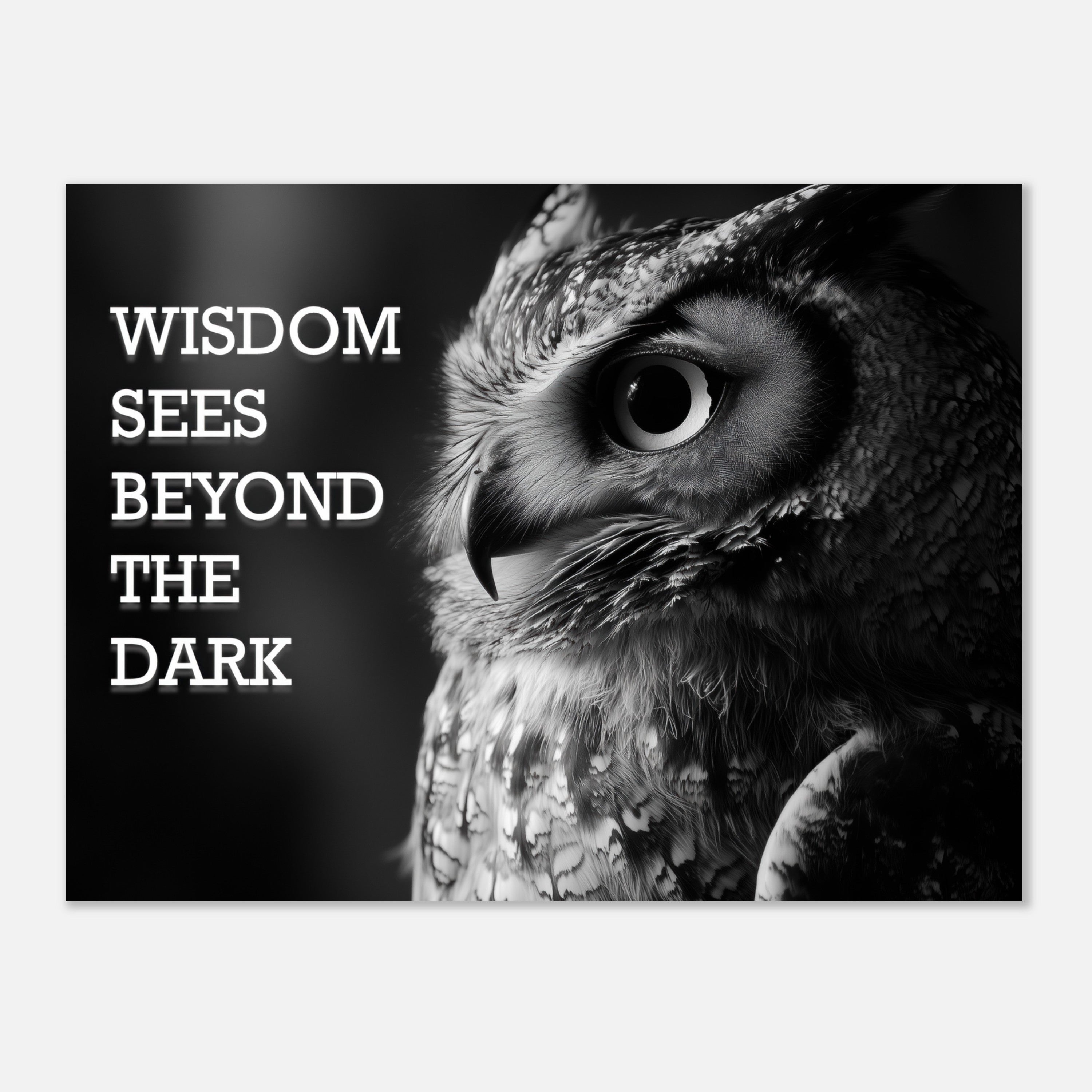 Mysticplate - Wisdom Sees Beyond The Dark - MysticPlates