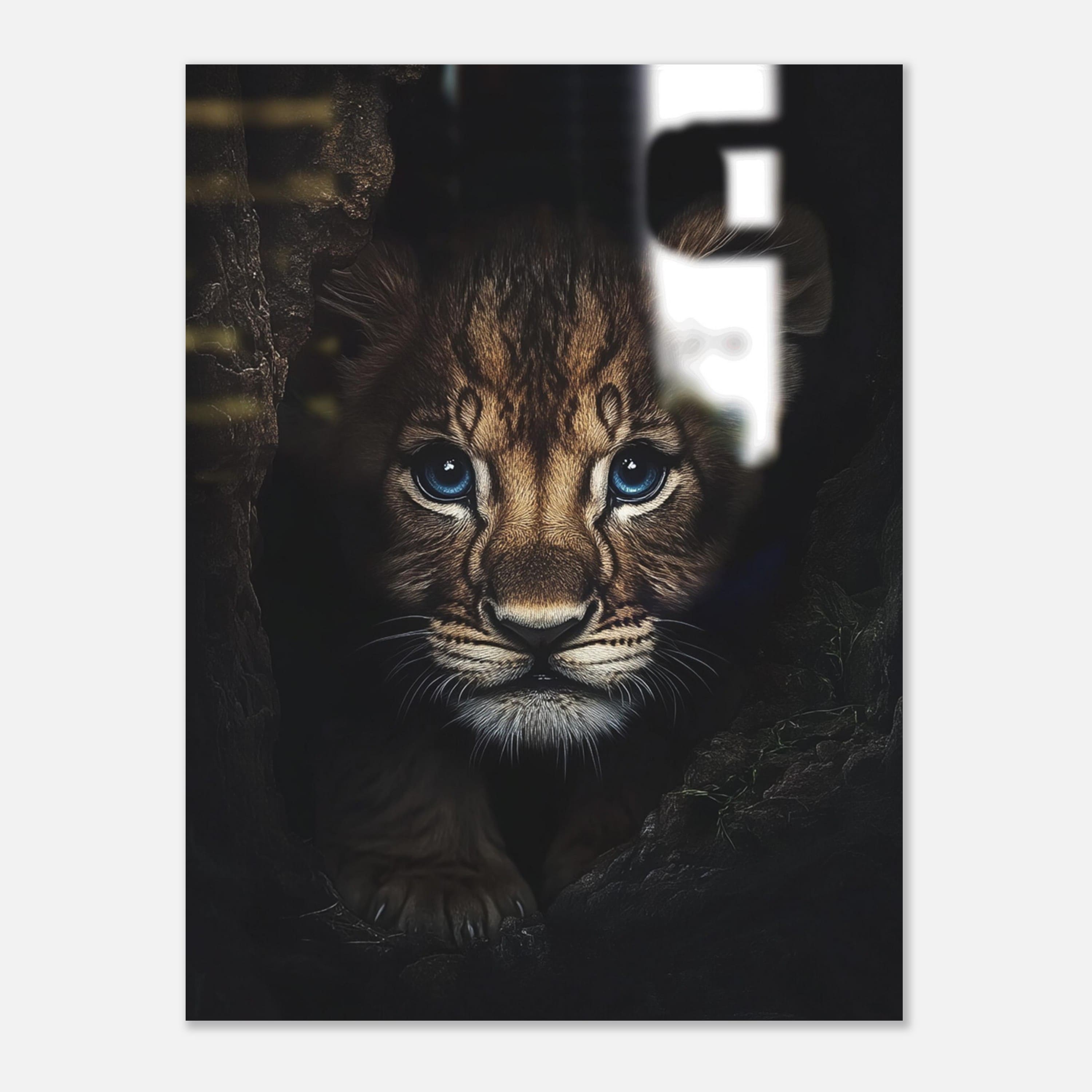 Mysticplate - Baby Tiger - MysticPlates
