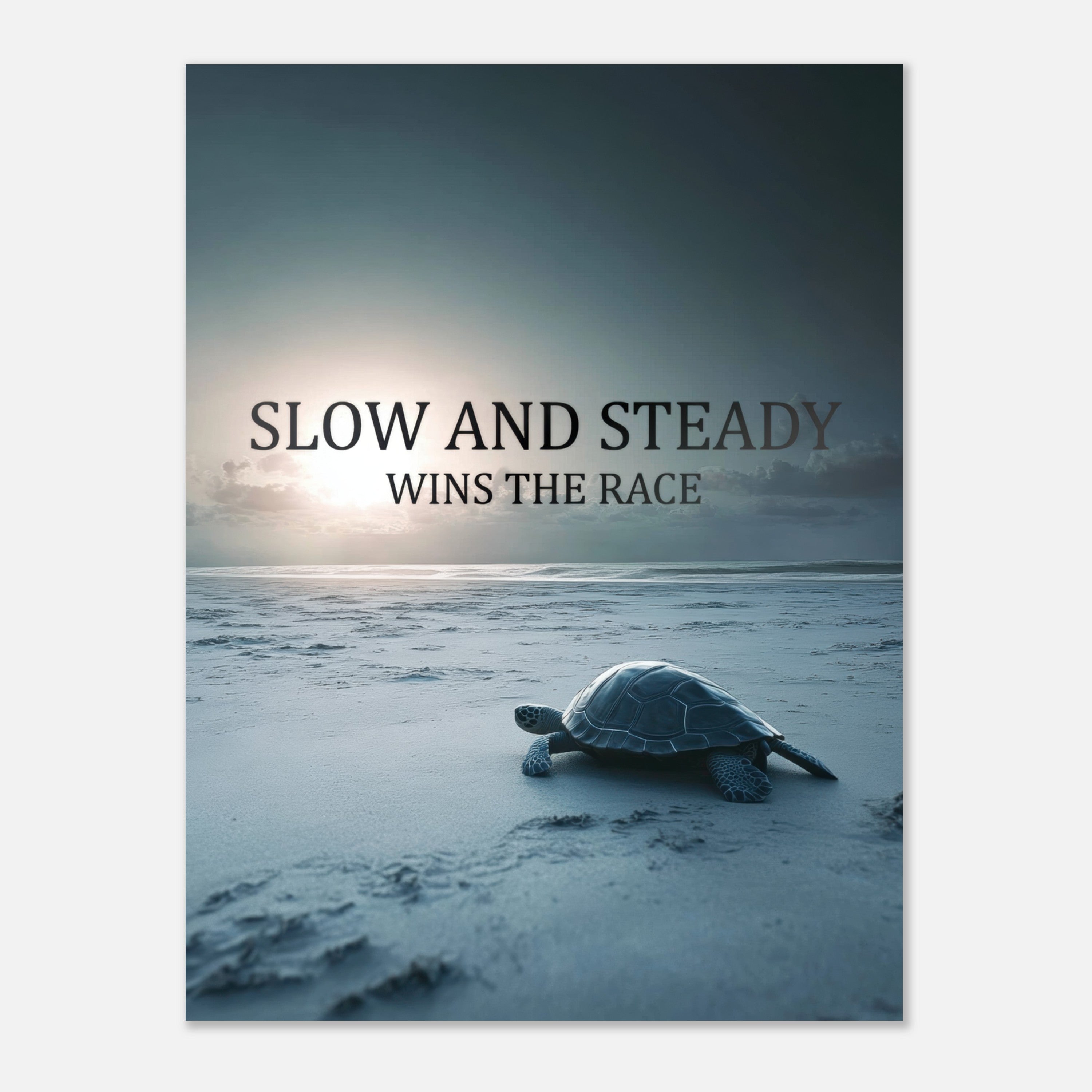 Mysticplate - Schildkröte Motivation - MysticPlates