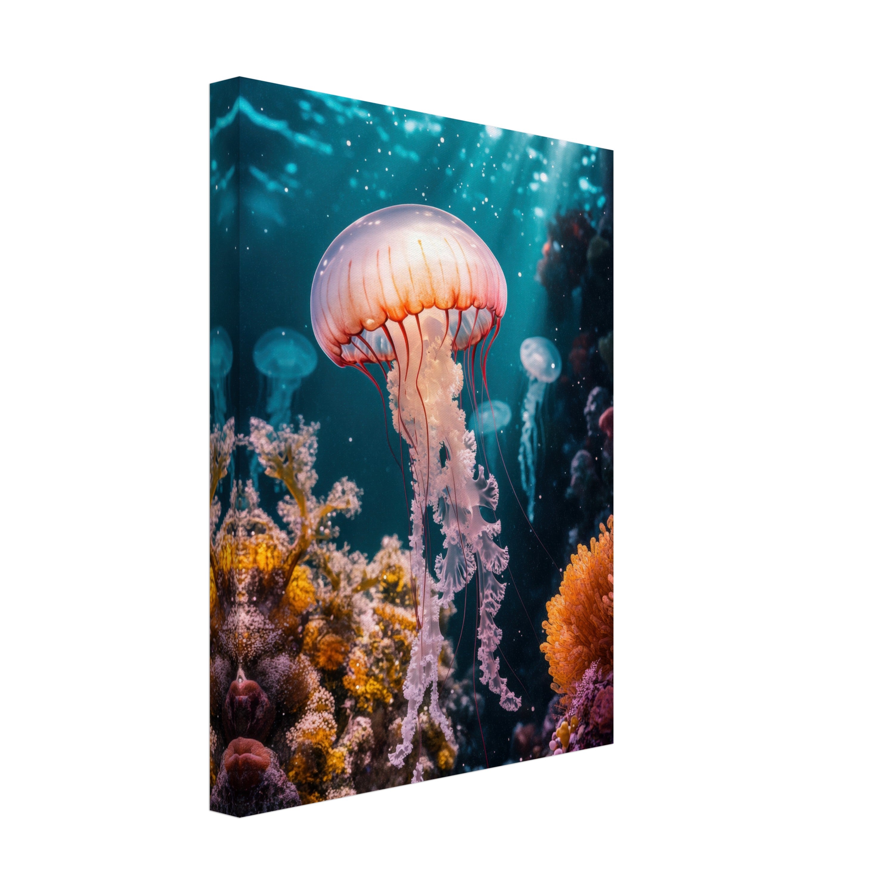 Mysticplate - Jellyfish - MysticPlates