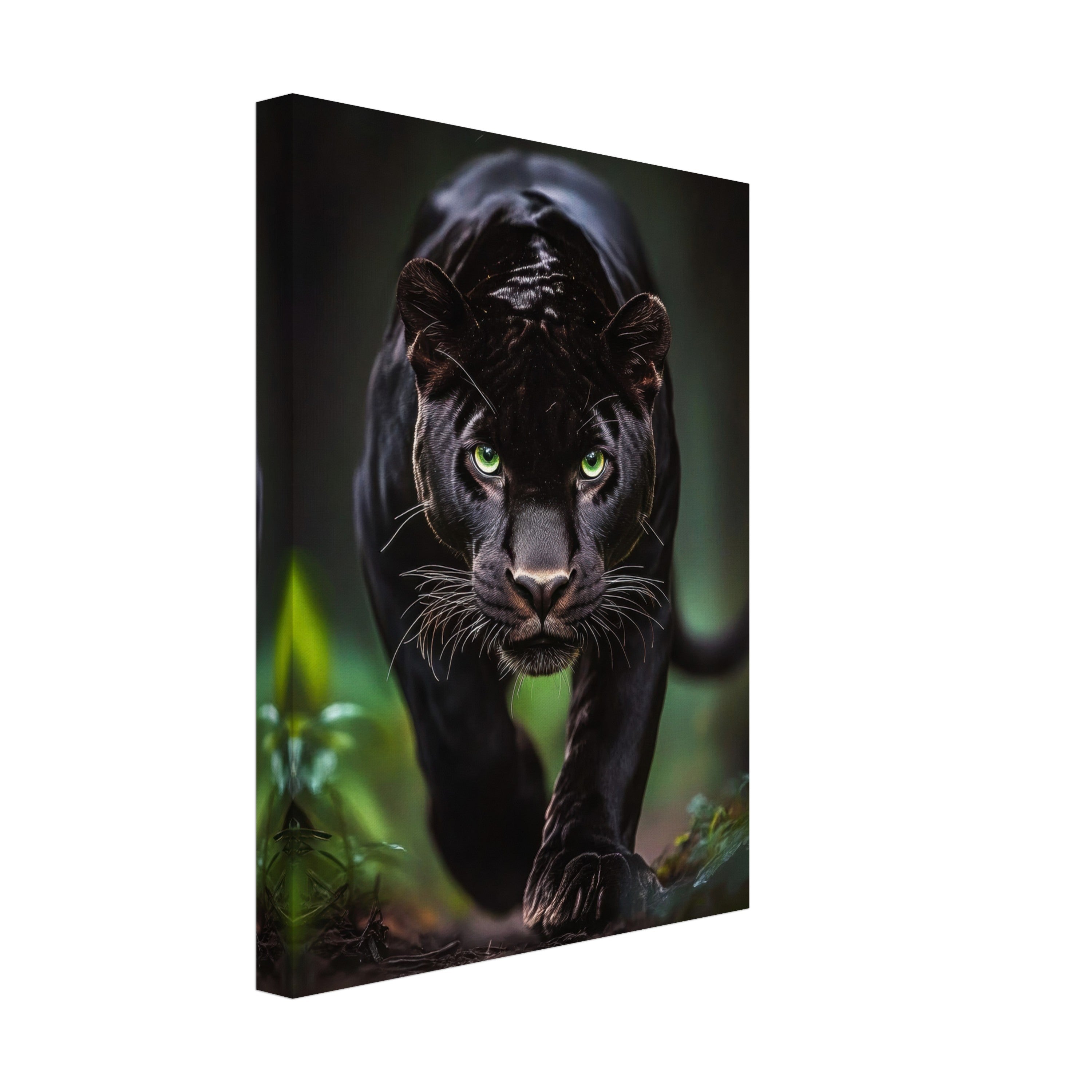 Mysticplate - Panther - MysticPlates