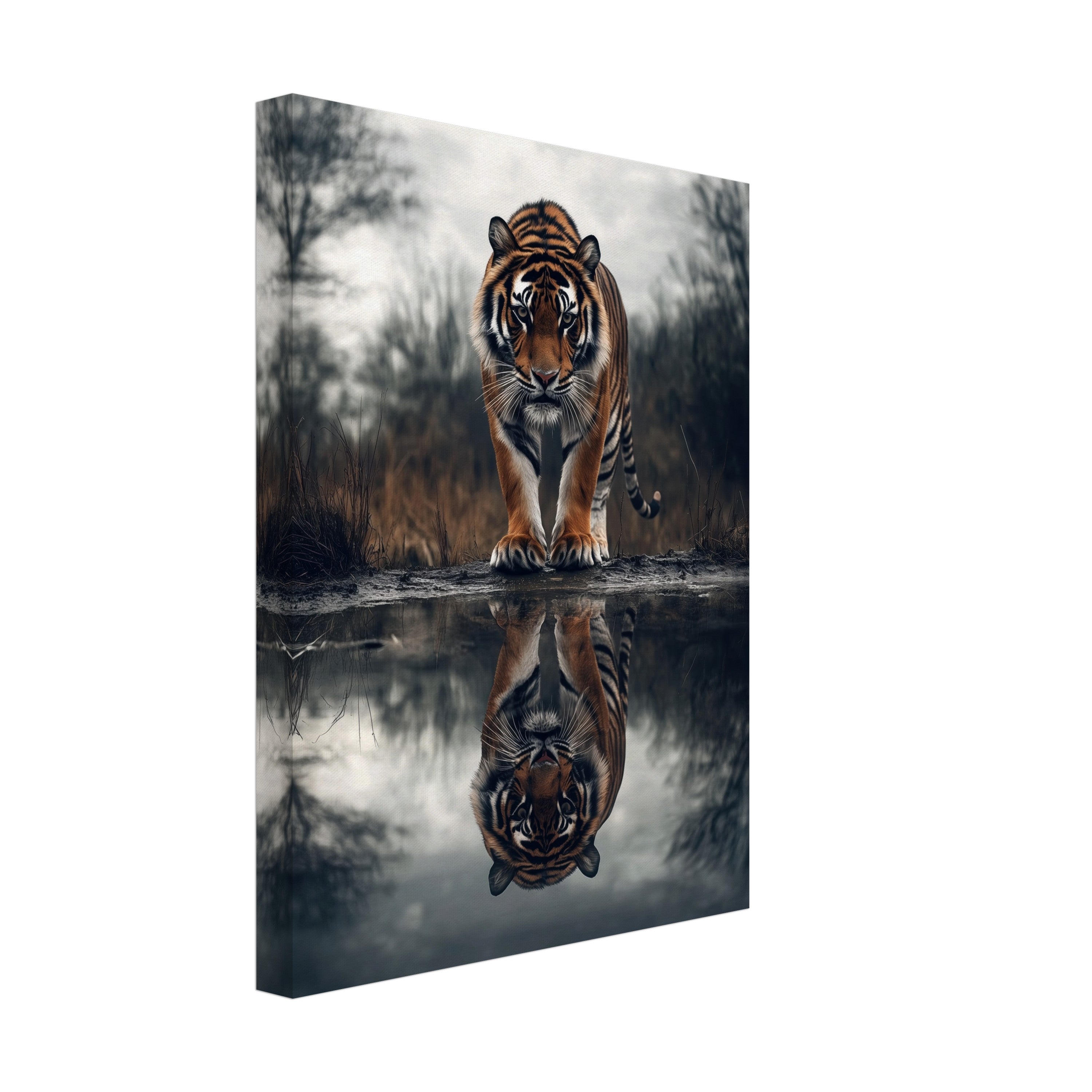 Mysticplate - Tiger - MysticPlates