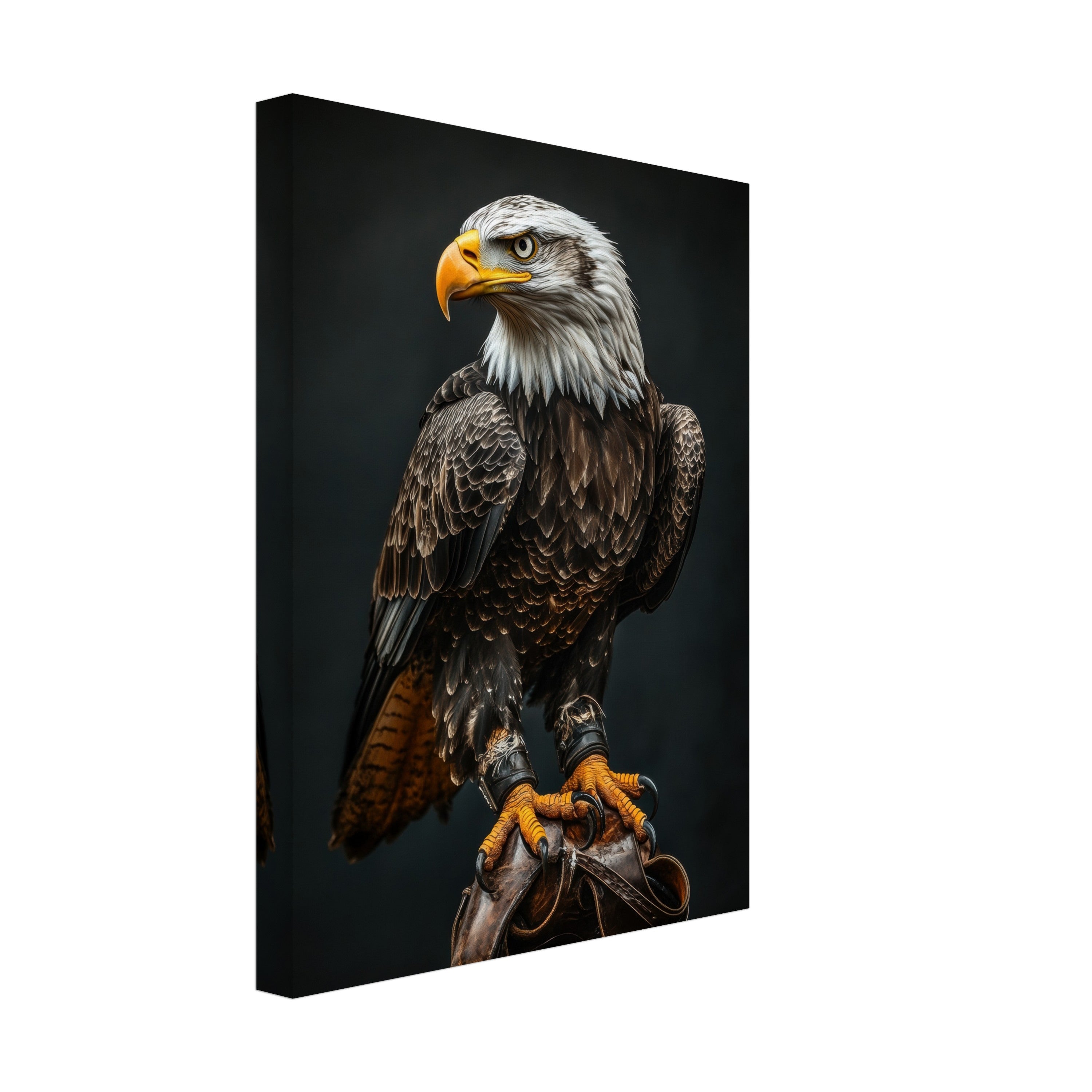 Mysticplate - Eagle - MysticPlates