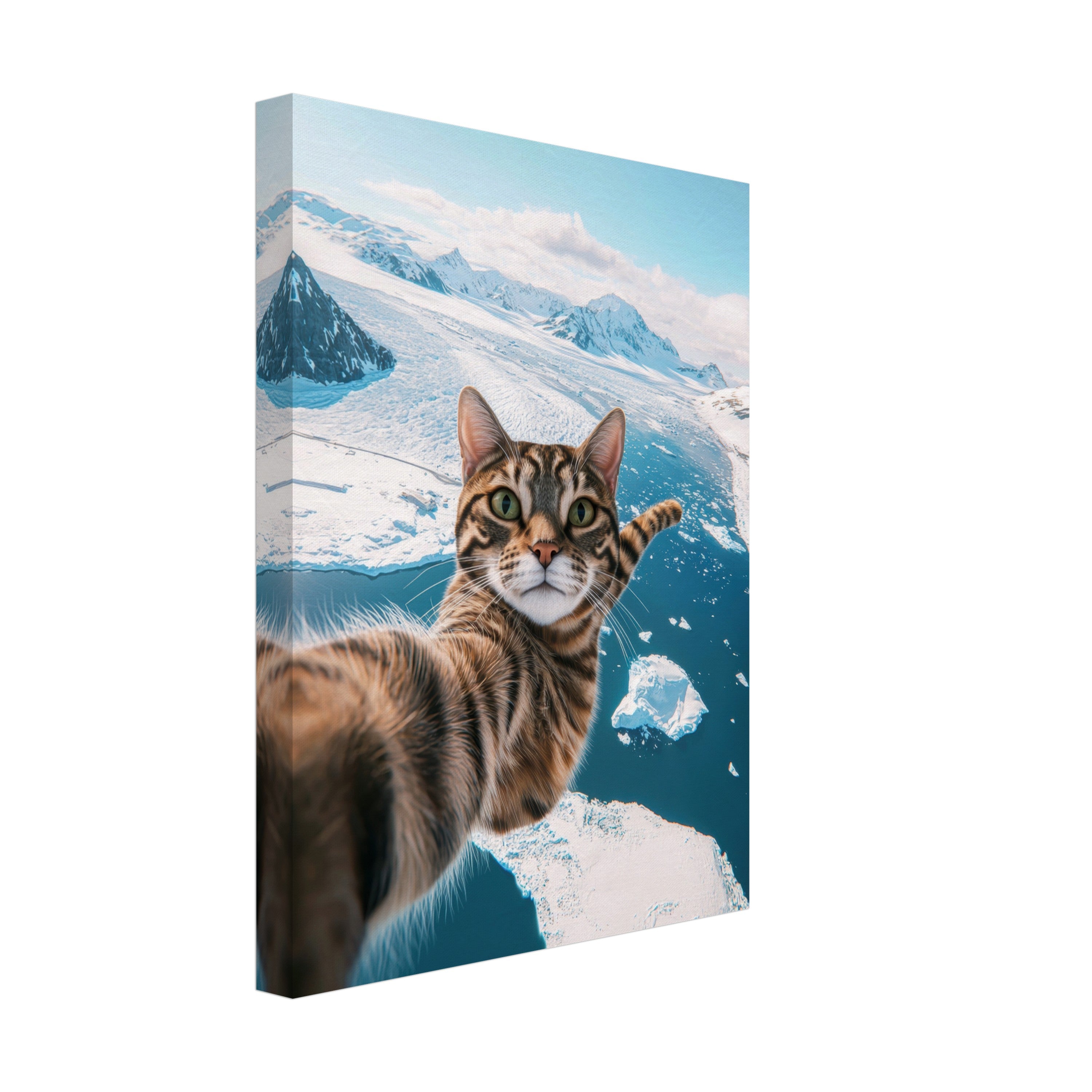 Mysticplate - Cat Selfie - MysticPlates