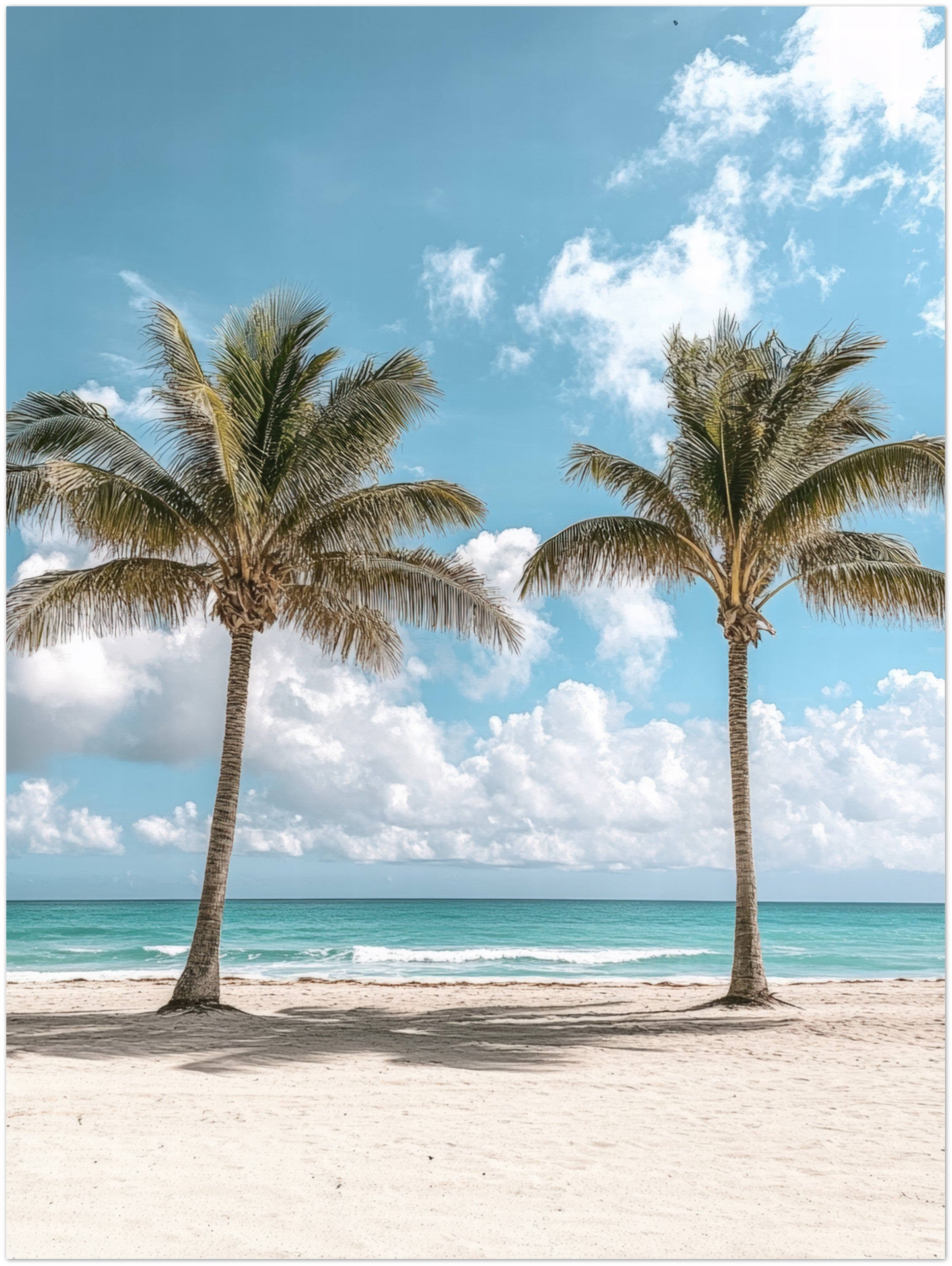 Mysticplate - Palm Trees - MysticPlates