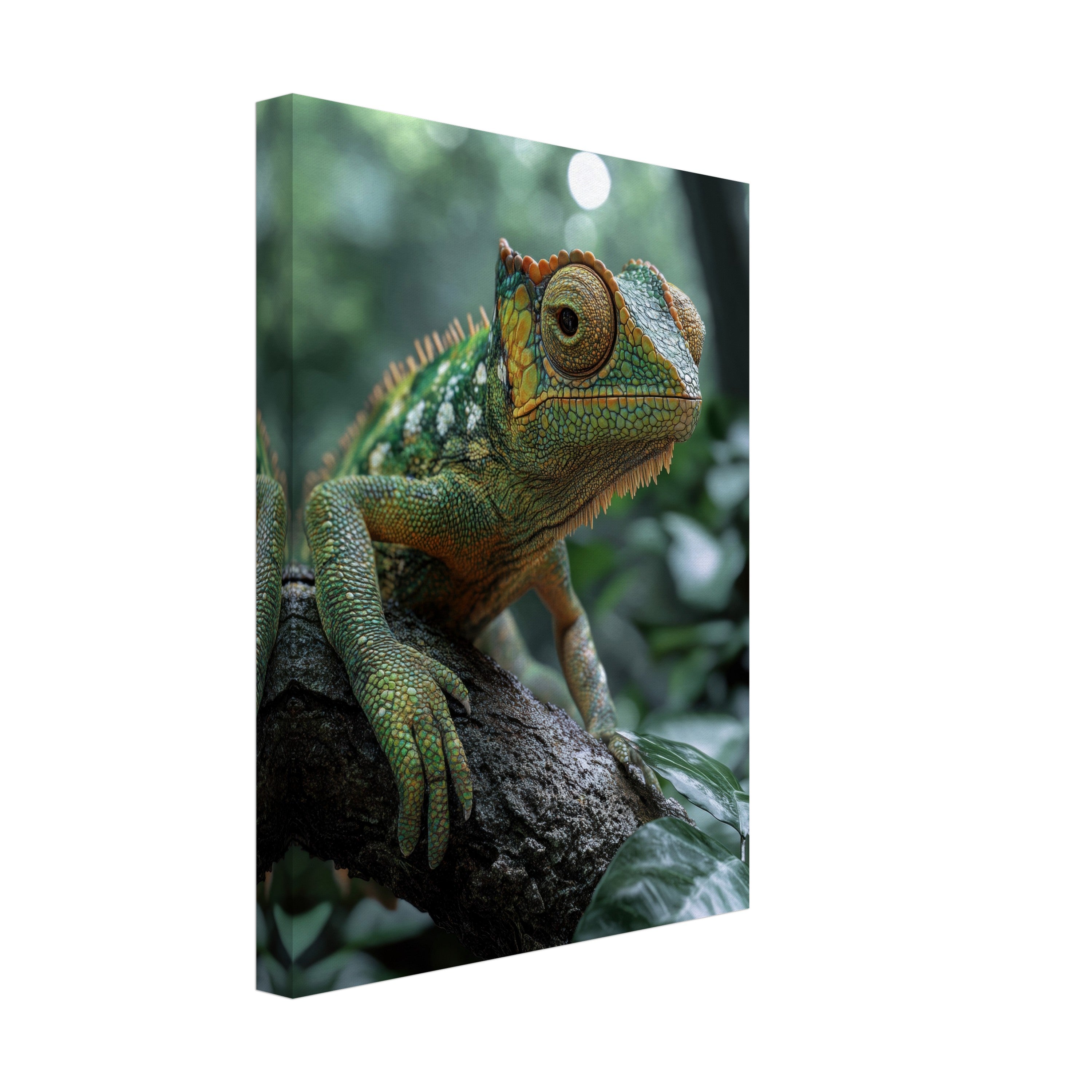 Mysticplate - Chameleon Green - MysticPlates
