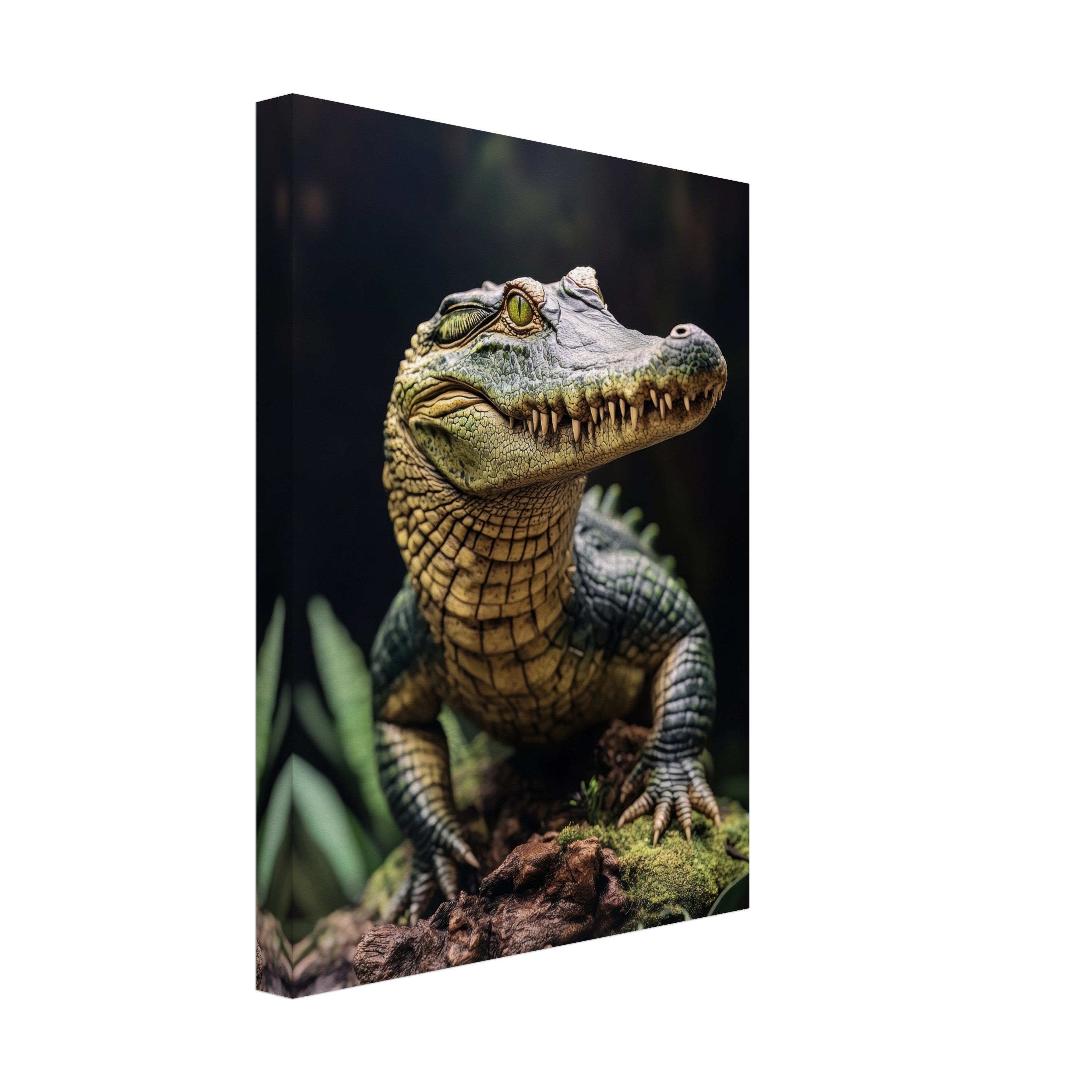 Mysticplate - Croco - MysticPlates
