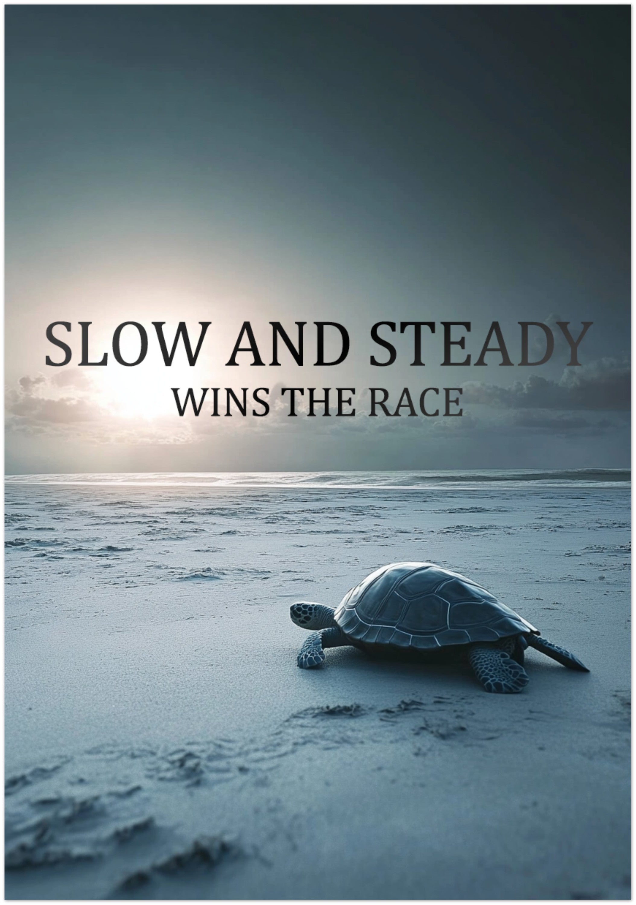 Mysticplate - Schildkröte Motivation - MysticPlates