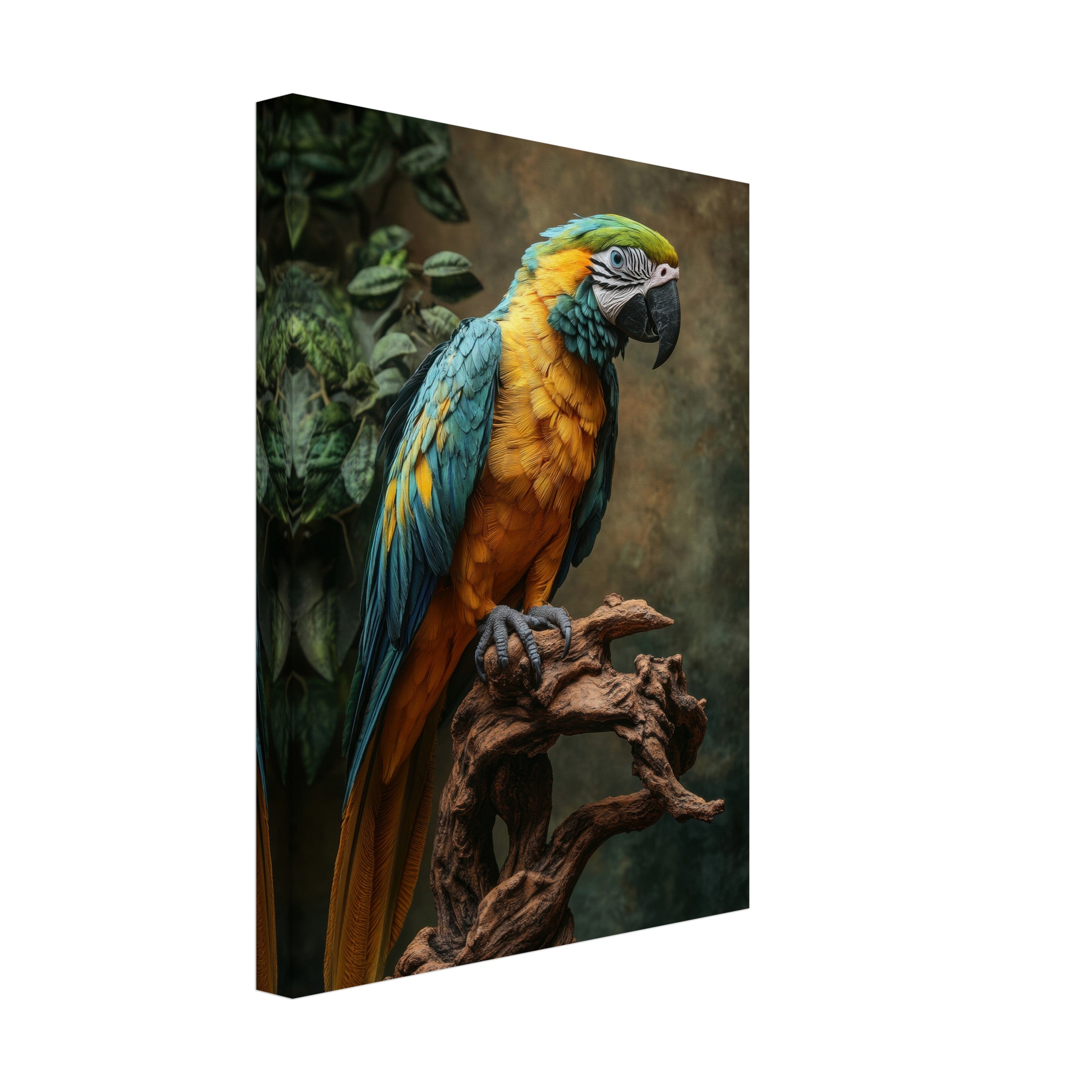 Mysticplate - Parrot - MysticPlates