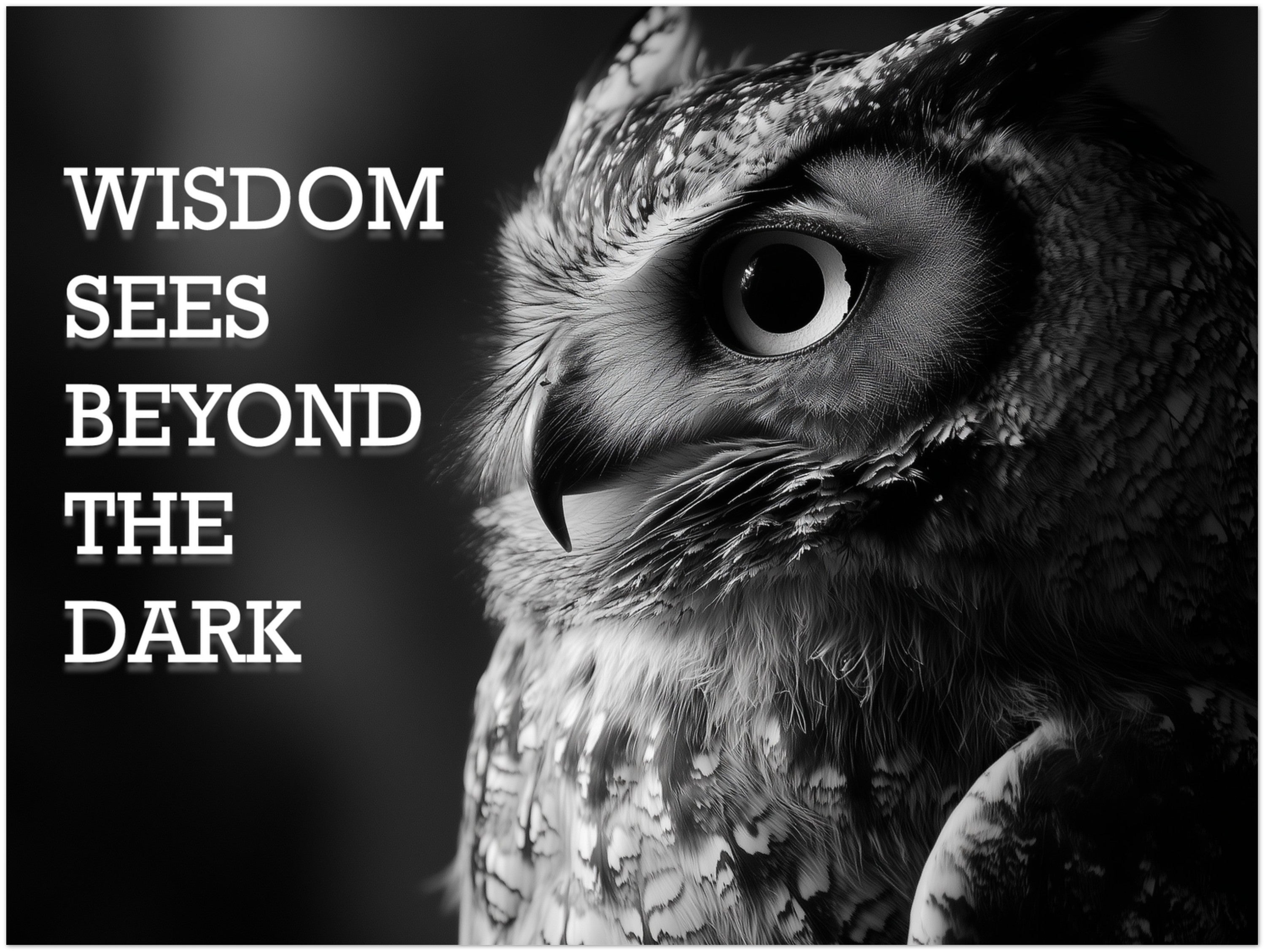 Mysticplate - Wisdom Sees Beyond The Dark - MysticPlates