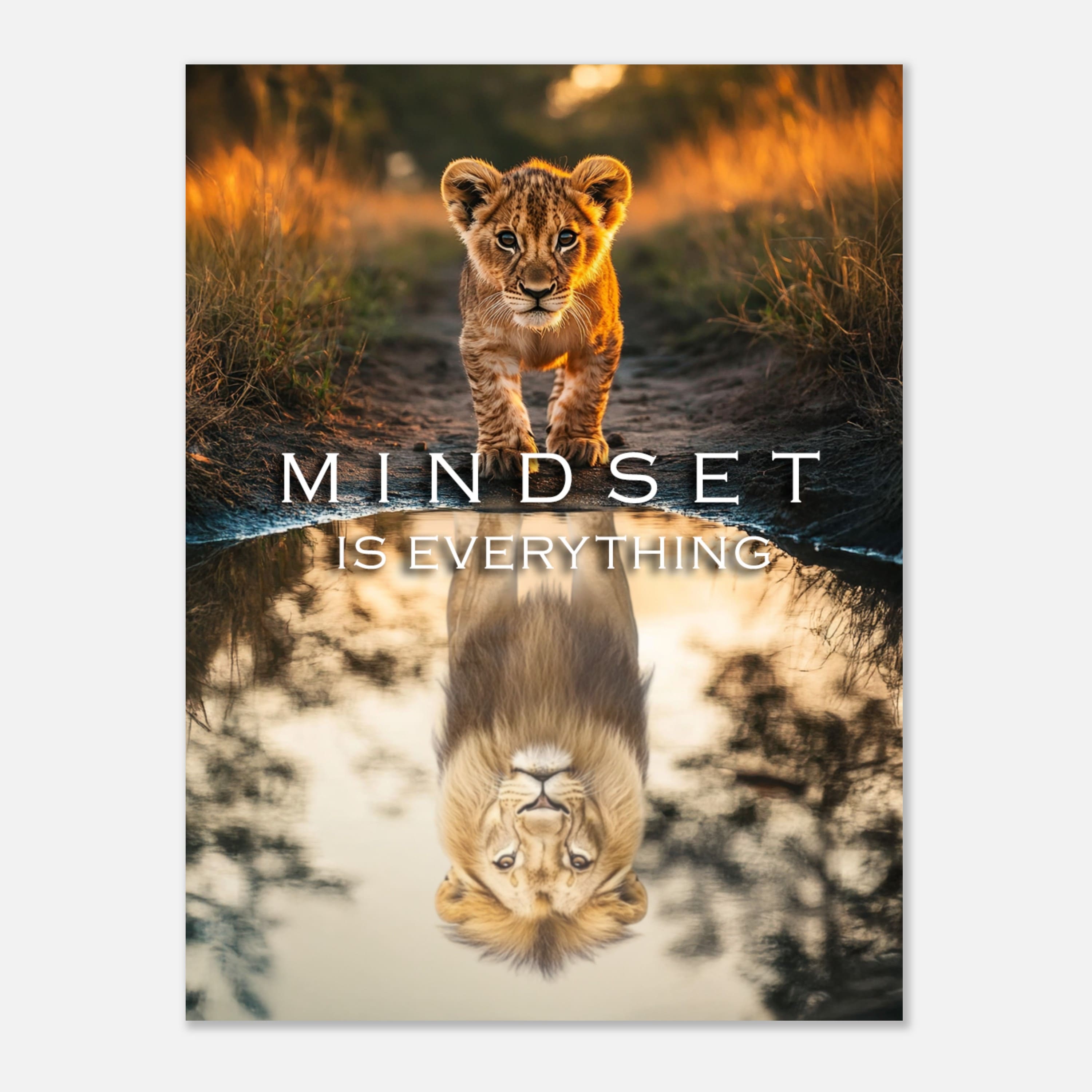 Mysticplate - Mindset is Everything - MysticPlates